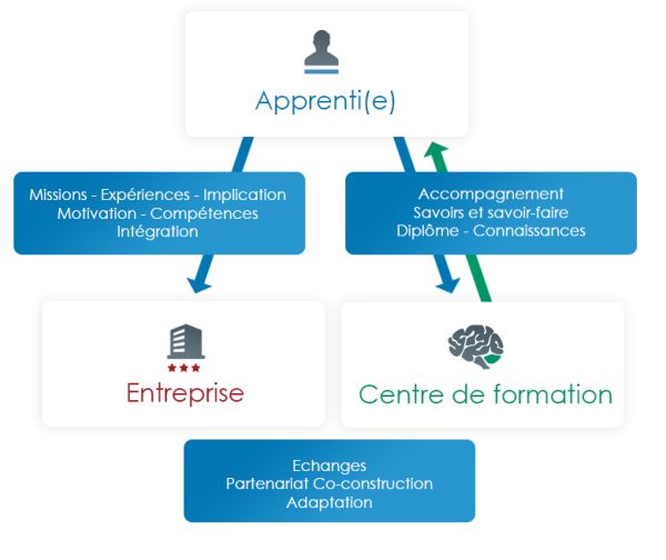 Qu'est-ce Que L'apprentissage ? - CMA Hauts-de-France