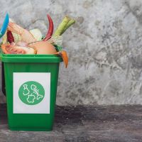 The concept of waste classification for recycling. Collection of waste bins full of different types of garbage in separation according to the color of the bin with old wall background and copy space.